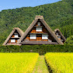 Meet your Posher, Ann